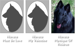 Niavana Must Be Love Niavana Mystique Of Heidron Niavana My Valentine