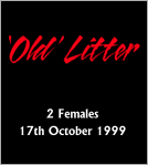2 Females 17th October 1999